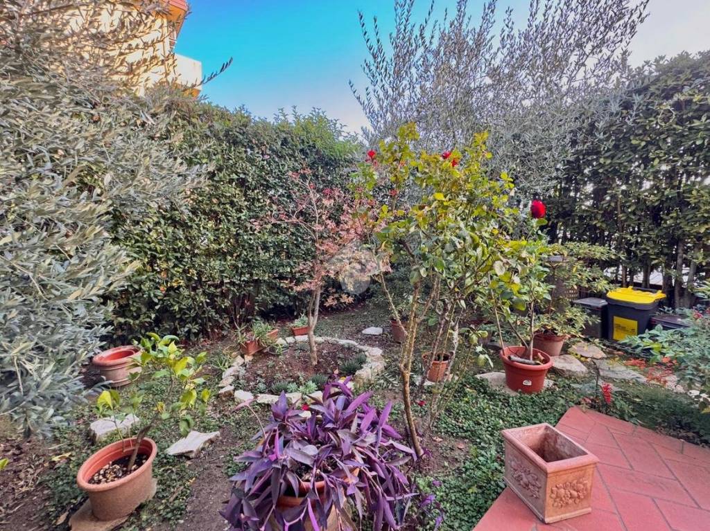 immagine annuncio 4 di 15