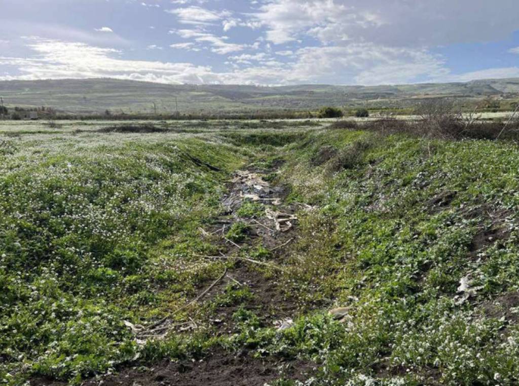 immagine annuncio 2 di 12