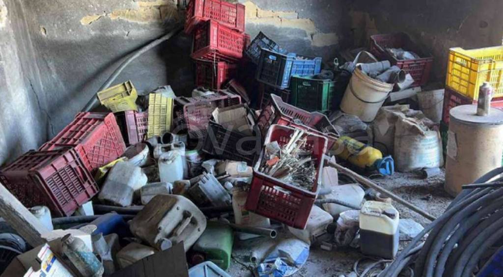 immagine annuncio 3 di 12