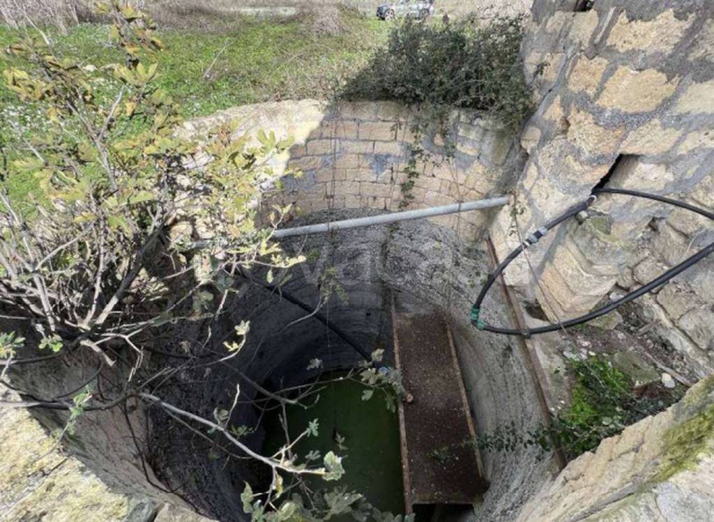 immagine annuncio 8 di 12