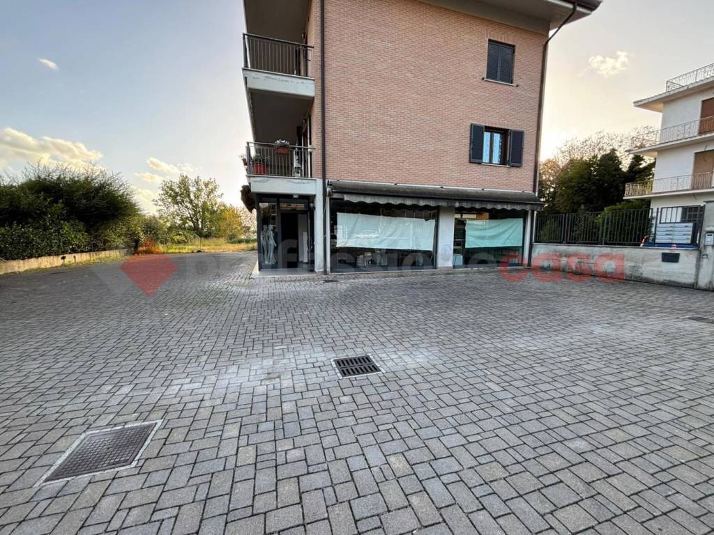 immagine annuncio 2 di 14