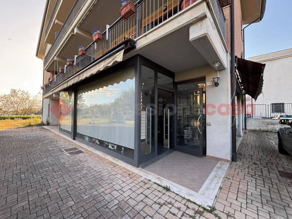 immagine annuncio 3 di 14