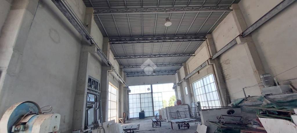 immagine annuncio 4 di 11