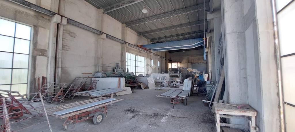 immagine annuncio 8 di 11