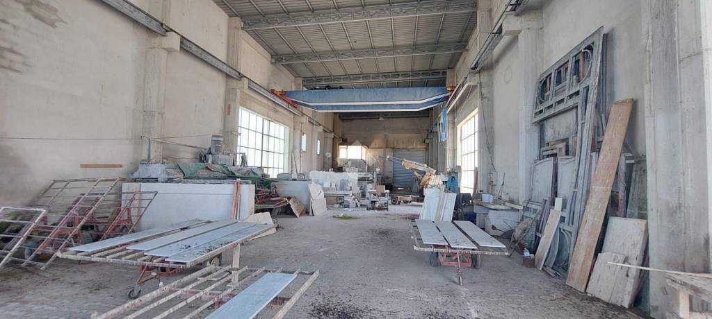 immagine annuncio 9 di 11