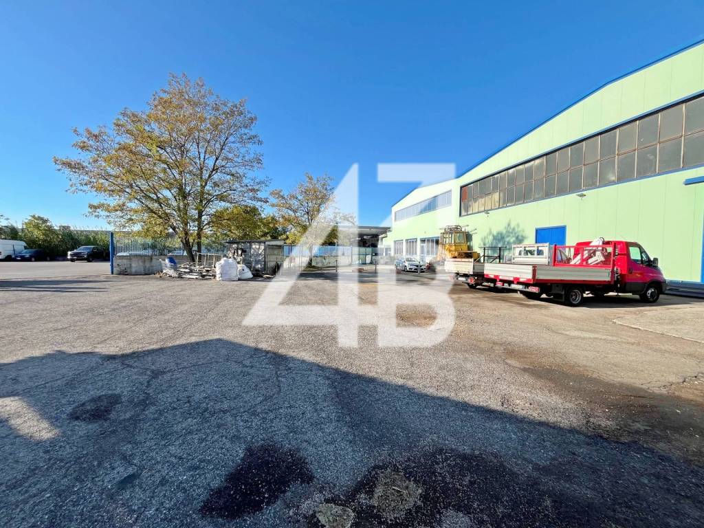 immagine annuncio 3 di 15