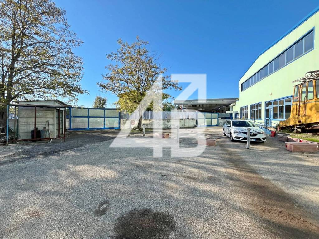 immagine annuncio 2 di 15