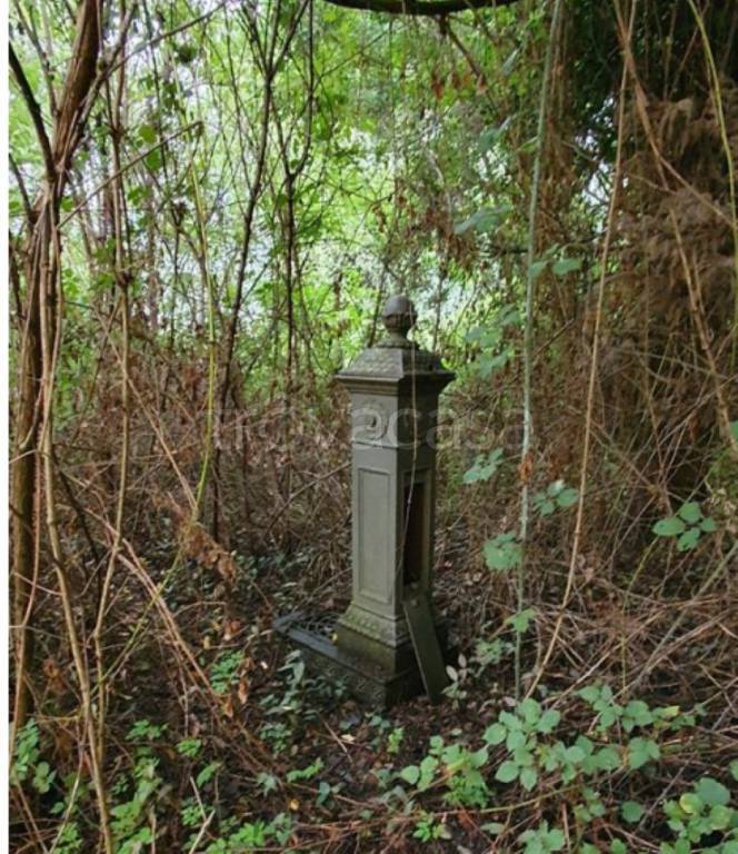 immagine annuncio 5 di 13