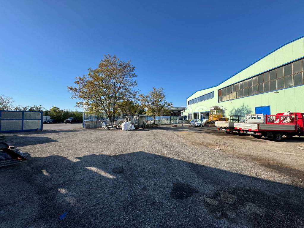 immagine annuncio 2 di 15