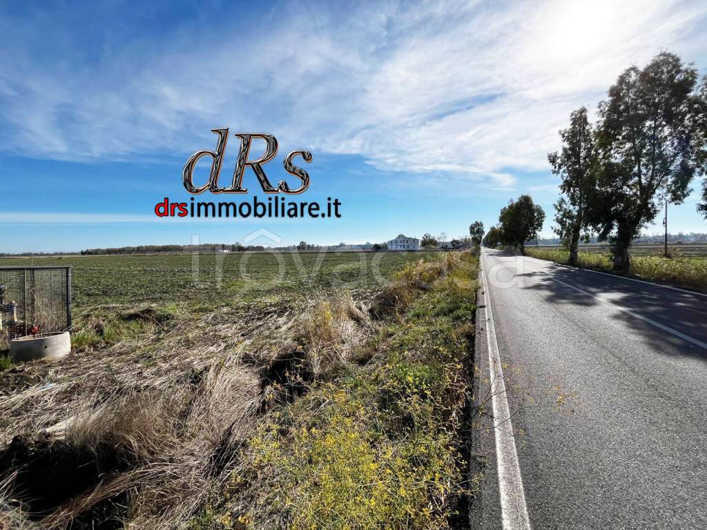 immagine annuncio 3 di 14