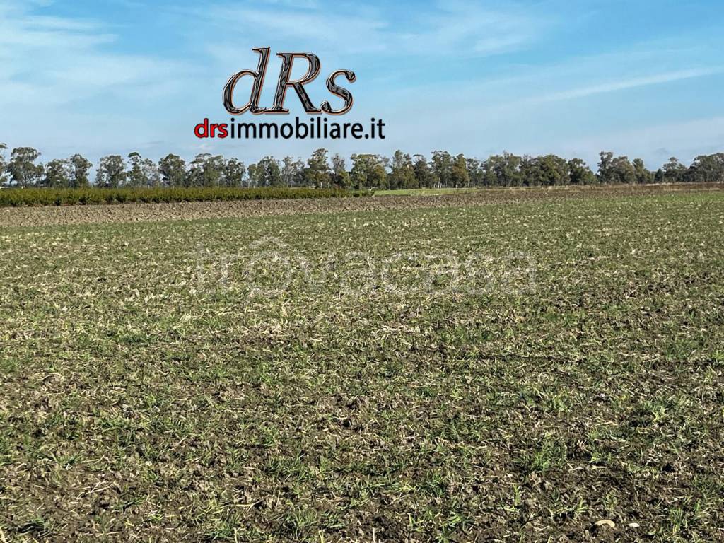 immagine annuncio 10 di 14