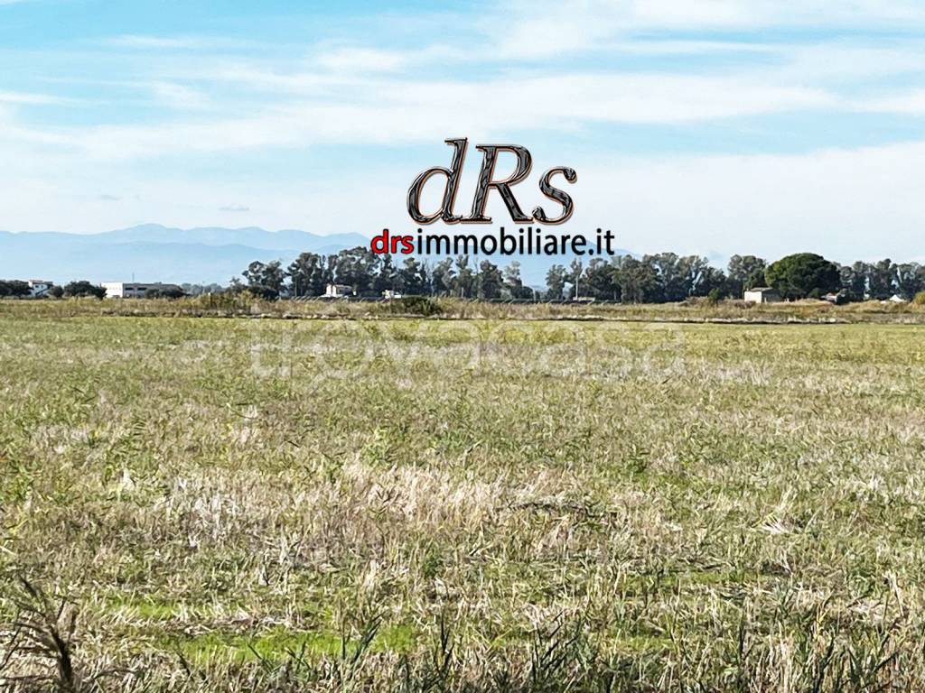 immagine annuncio 11 di 14