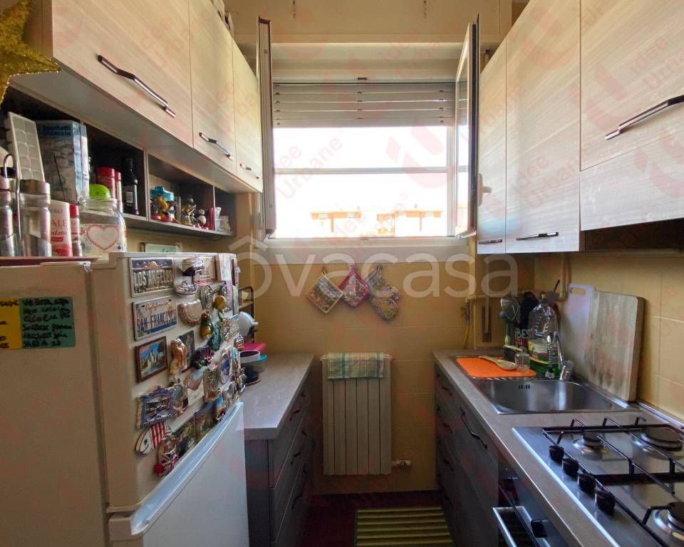 immagine annuncio 5 di 8