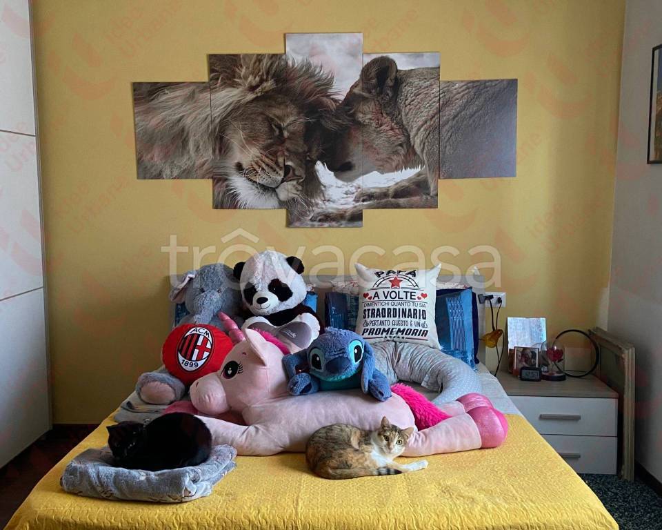 immagine annuncio 6 di 8