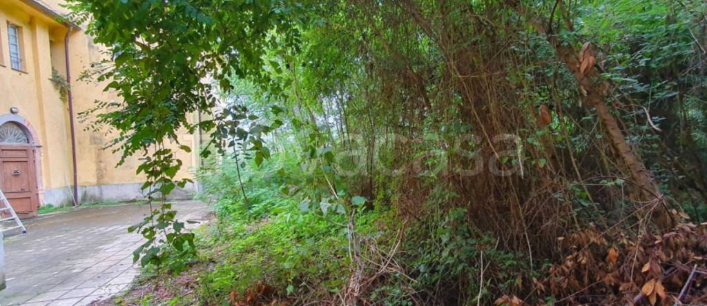 immagine annuncio 10 di 13