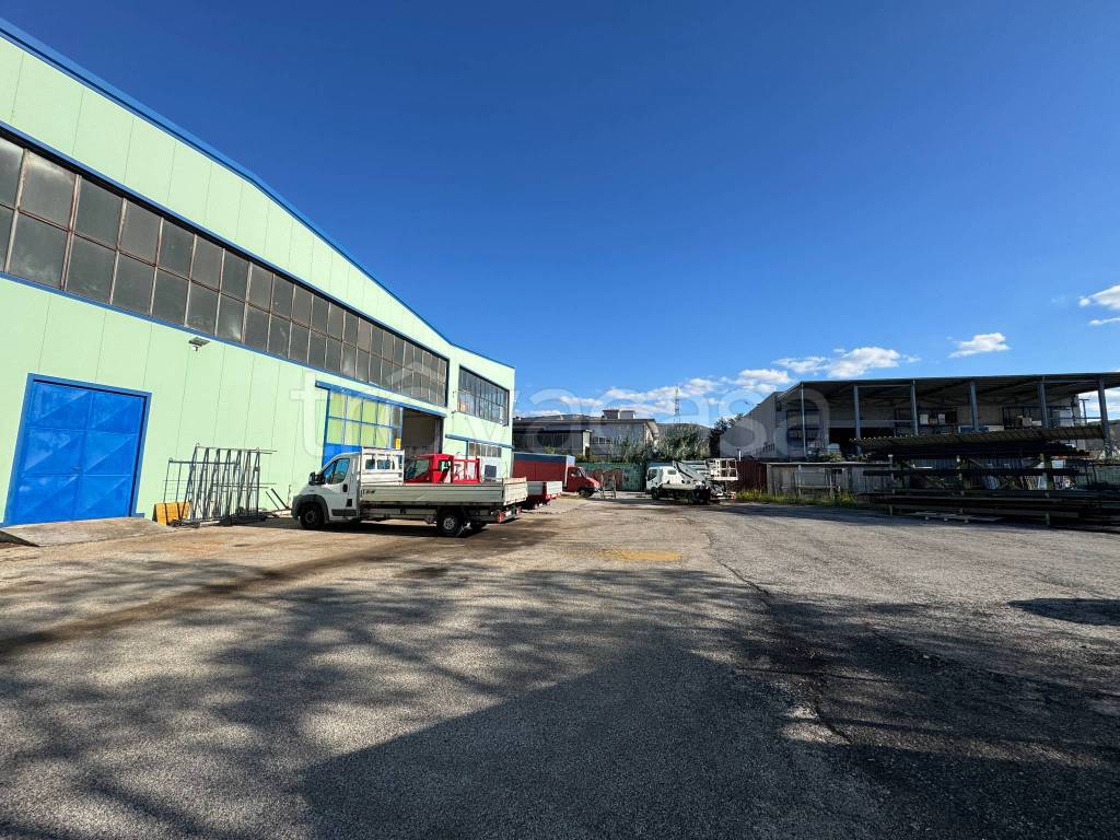 immagine annuncio 3 di 15