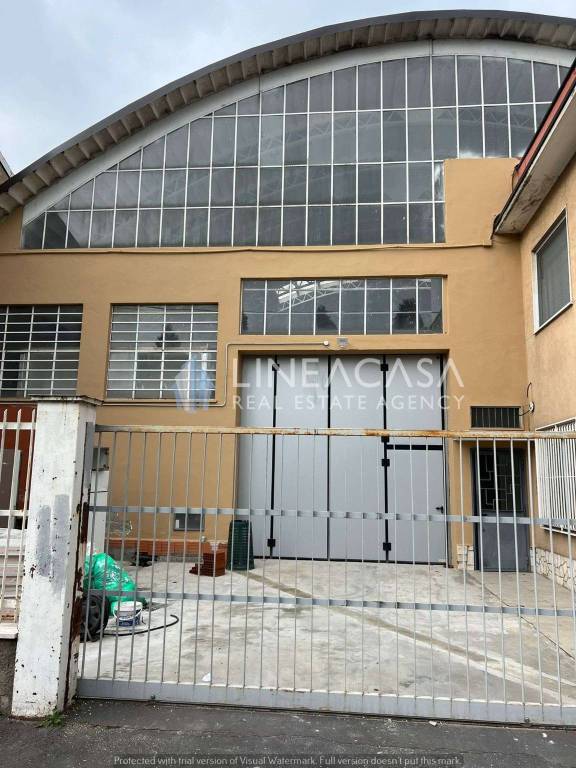 immagine annuncio 13 di 15