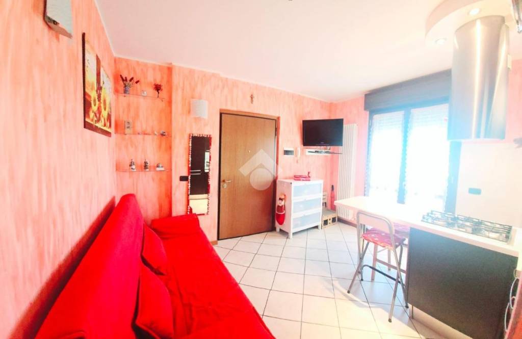 immagine annuncio 5 di 15