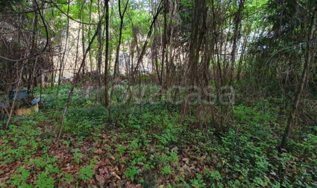 immagine annuncio 12 di 13