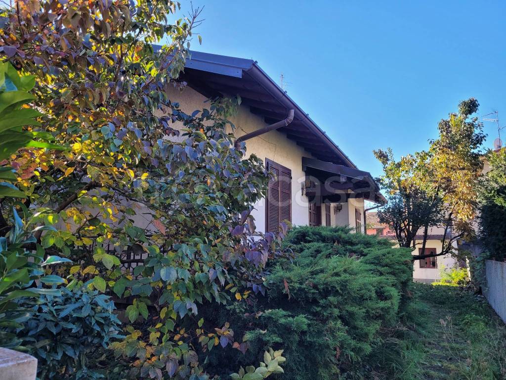 immagine annuncio 9 di 13