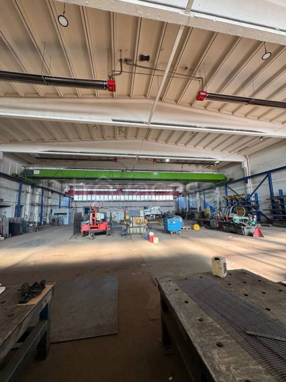 immagine annuncio 12 di 15