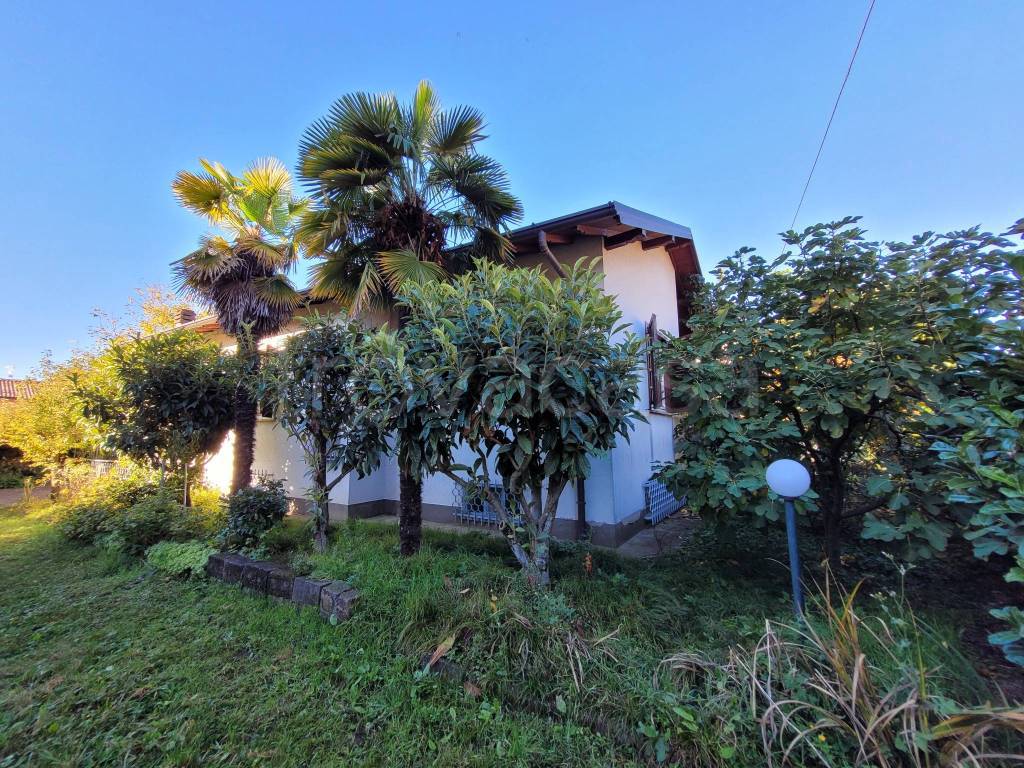 immagine annuncio 12 di 13