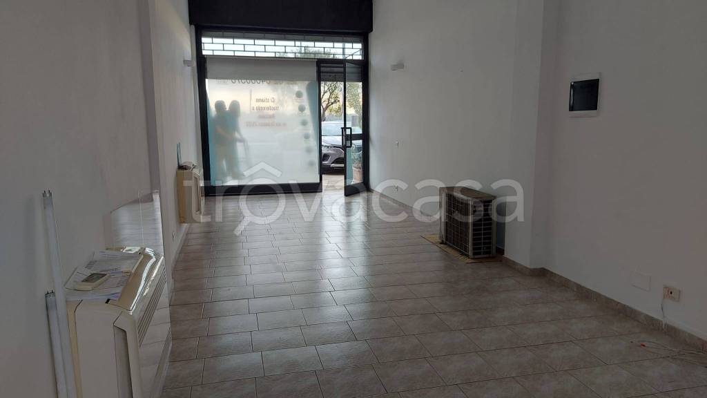 immagine annuncio 3 di 11