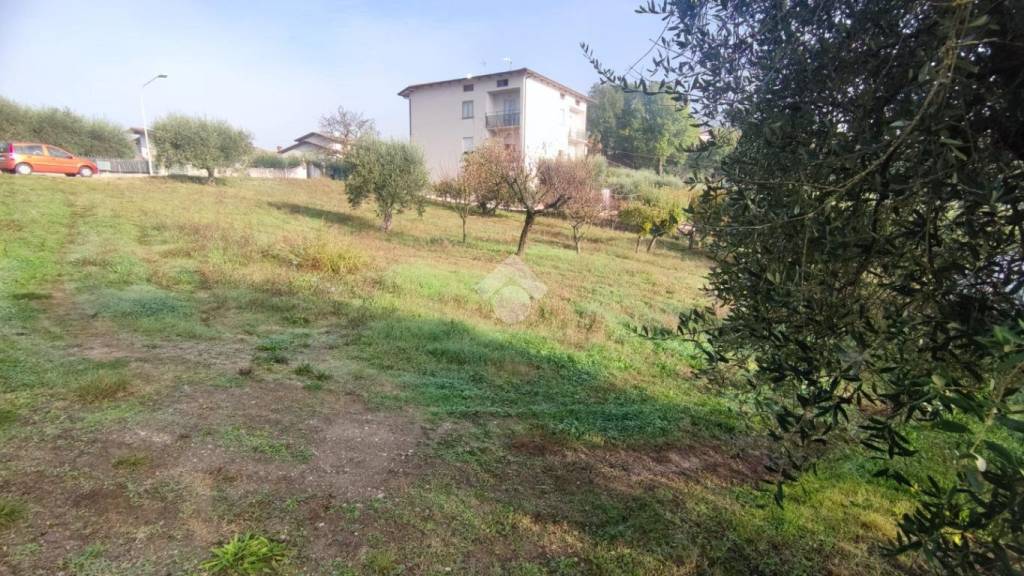 immagine annuncio 2 di 9