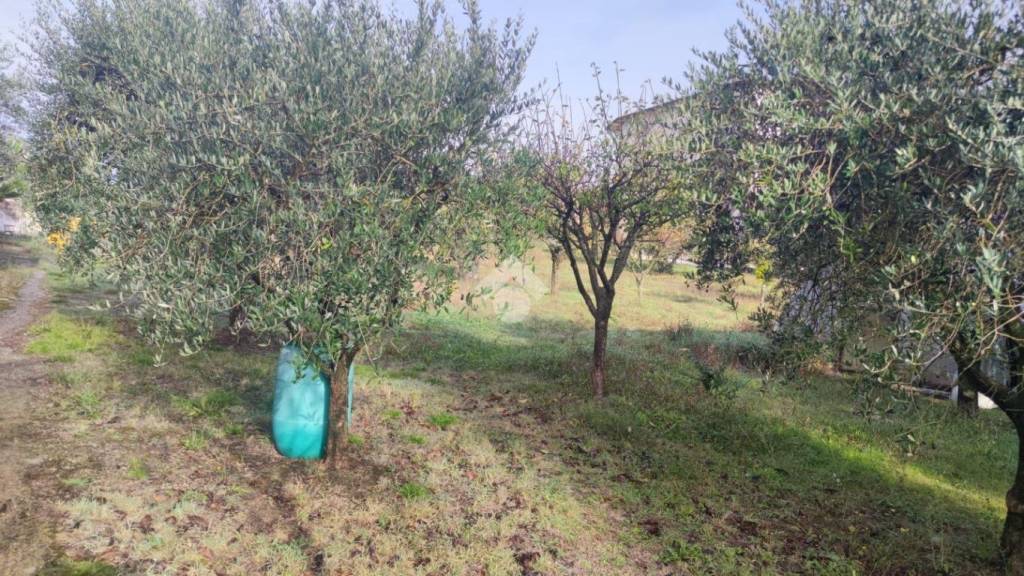 immagine annuncio 7 di 9