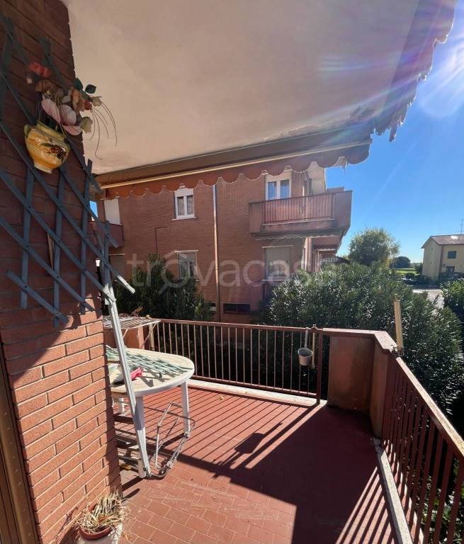 immagine annuncio 4 di 14