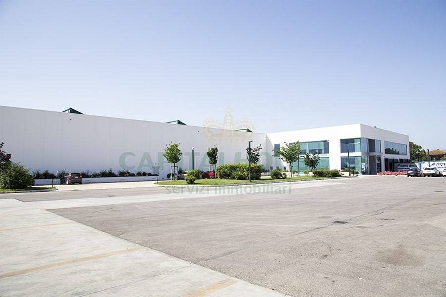 immagine annuncio 1 di 4