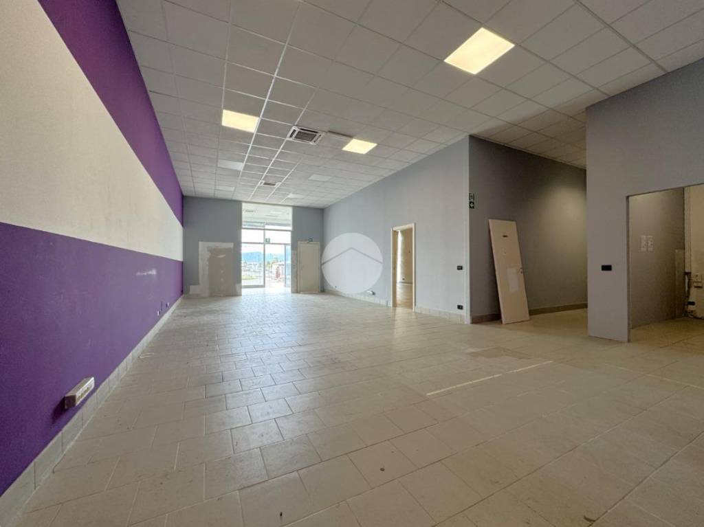 immagine annuncio 7 di 13