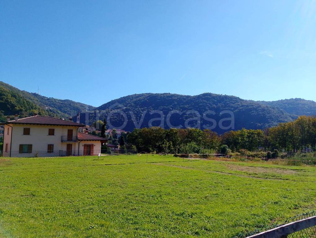 immagine annuncio 4 di 12