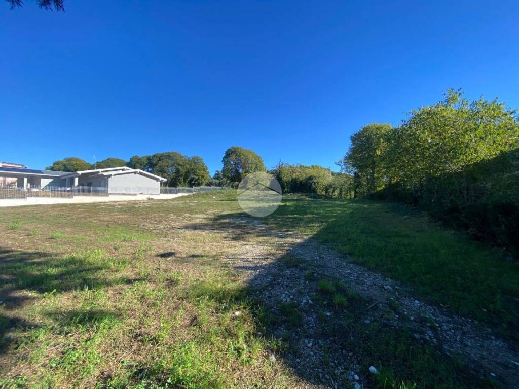 immagine annuncio 2 di 12