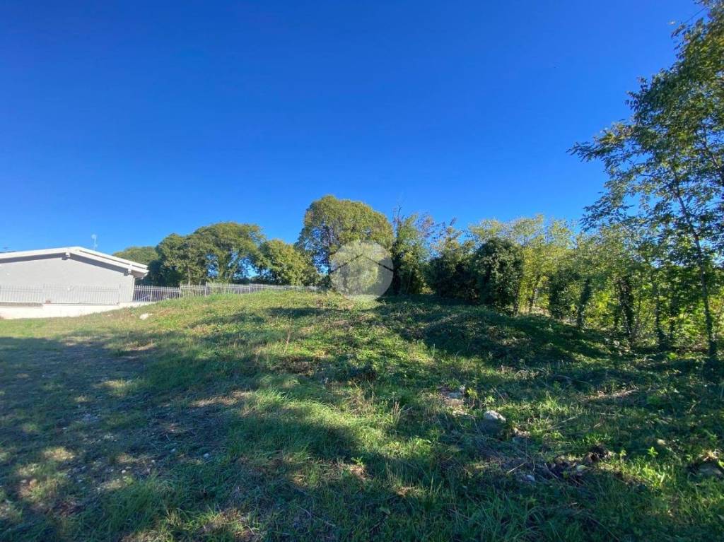 immagine annuncio 3 di 12