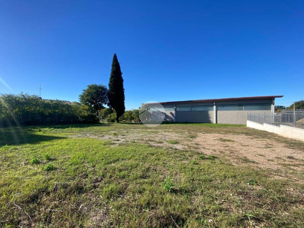 immagine annuncio 6 di 12