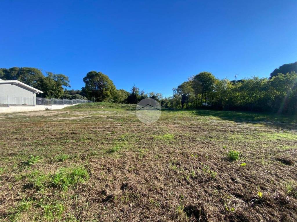 immagine annuncio 9 di 12