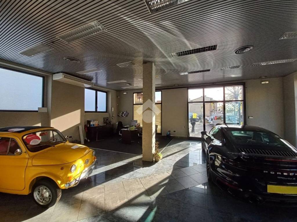 immagine annuncio 4 di 15