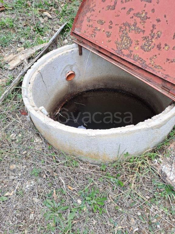 immagine annuncio 5 di 9