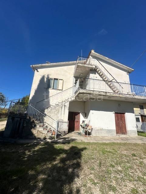 immagine annuncio 4 di 14