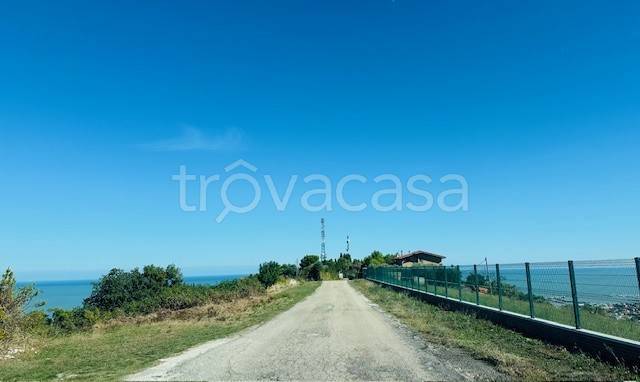 immagine annuncio 6 di 14