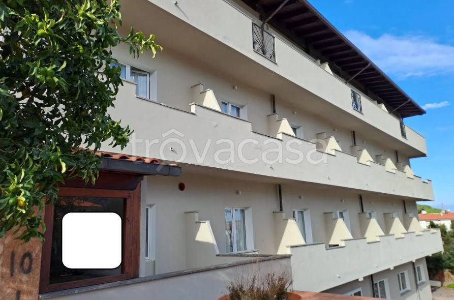 immagine annuncio 11 di 14