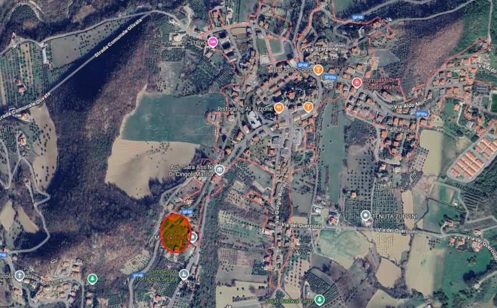 immagine annuncio 6 di 15