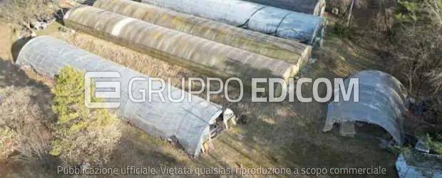 immagine annuncio 4 di 8