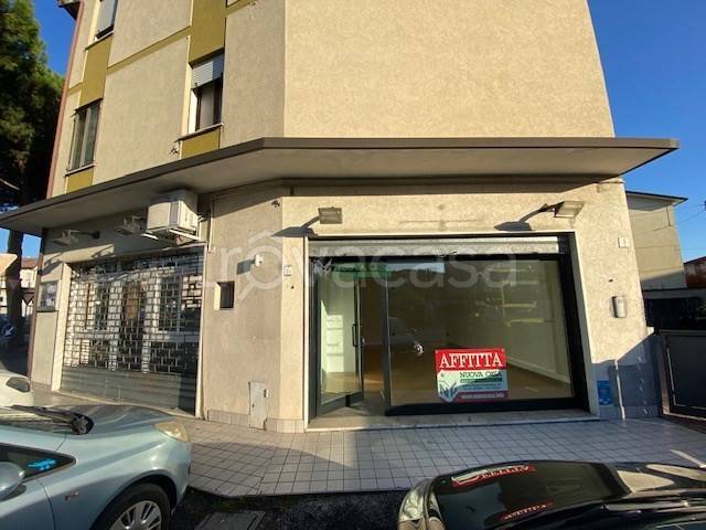 immagine annuncio 5 di 11