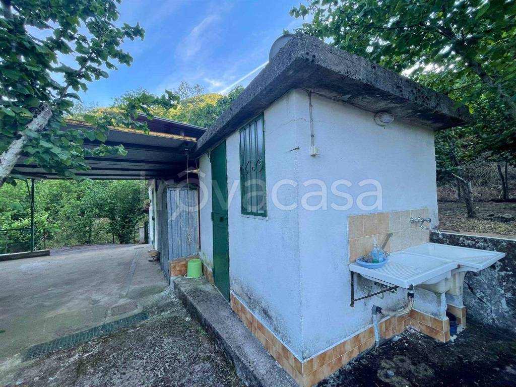 immagine annuncio 4 di 14