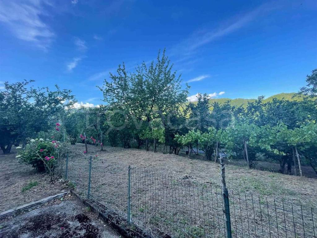 immagine annuncio 7 di 14