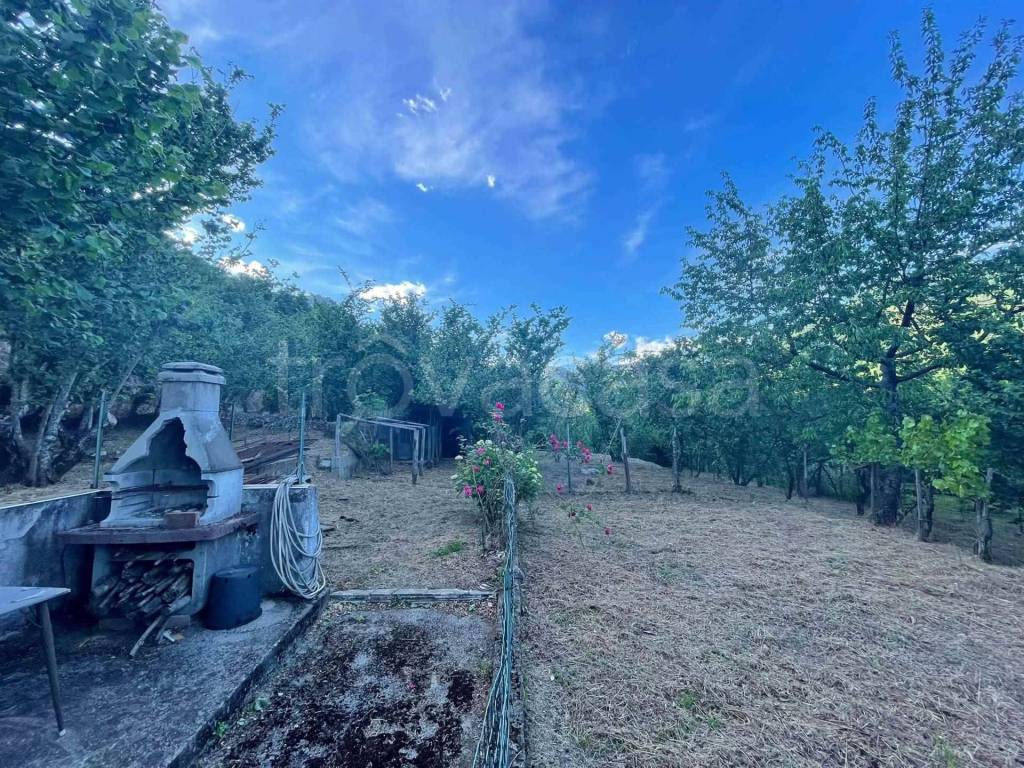 immagine annuncio 8 di 14