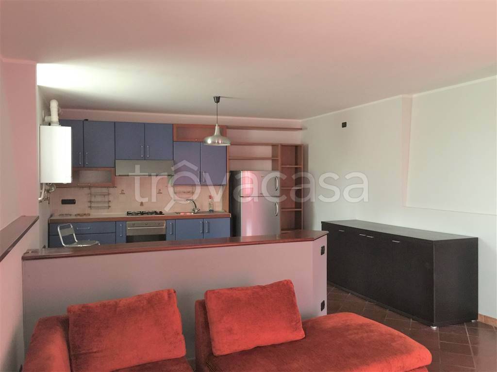 immagine annuncio 3 di 14