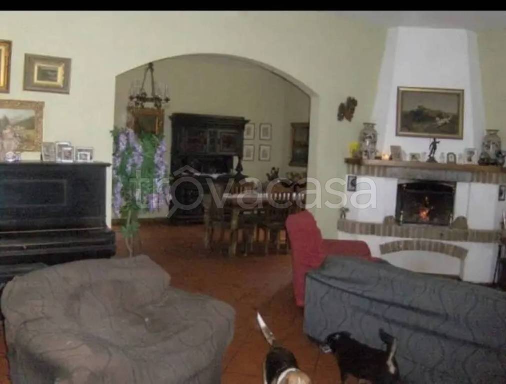 immagine annuncio 2 di 11